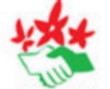 Image / illustration