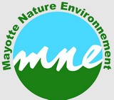 Image / illustration