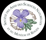 Image / illustration