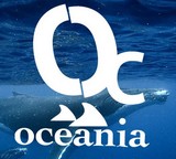 Image / illustration