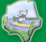 Image / illustration