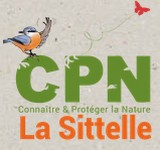 Image / illustration