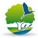 Image / illustration