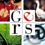 Image / illustration