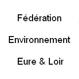 Image / illustration