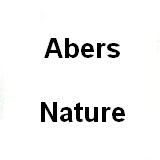 Image / illustration