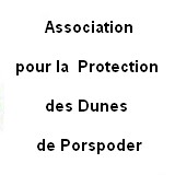 Image / illustration