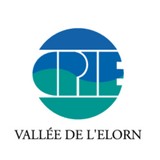 Image / illustration