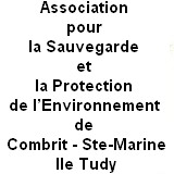 Image / illustration