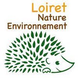 Image / illustration