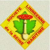 Image / illustration