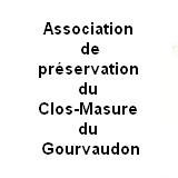 Image / illustration