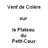 Image / illustration