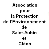 Image / illustration