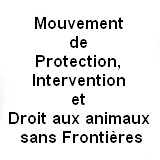 Image / illustration