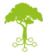 Image / illustration