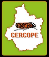 Image / illustration