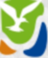 Image / illustration