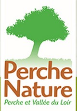 Image / illustration