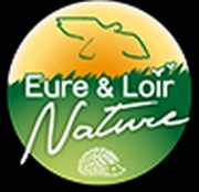 Image / illustration