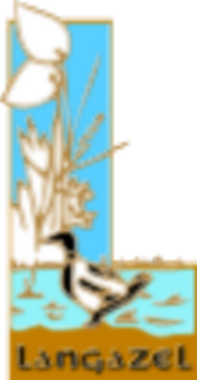 Image / illustration