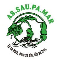 Image / illustration