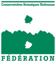 Image / illustration