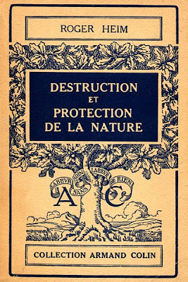 Image / illustration