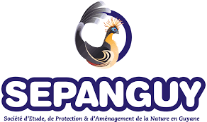 Image / illustration