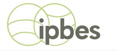 Image / illustration