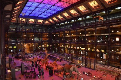 Image / illustration