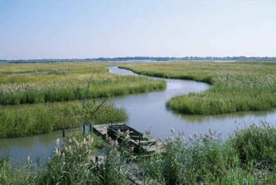 Image / illustration