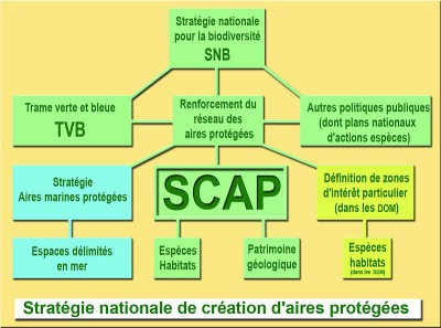 Image / illustration