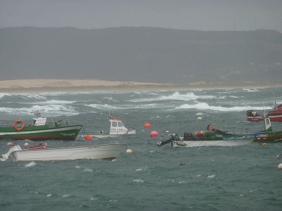 Image / illustration