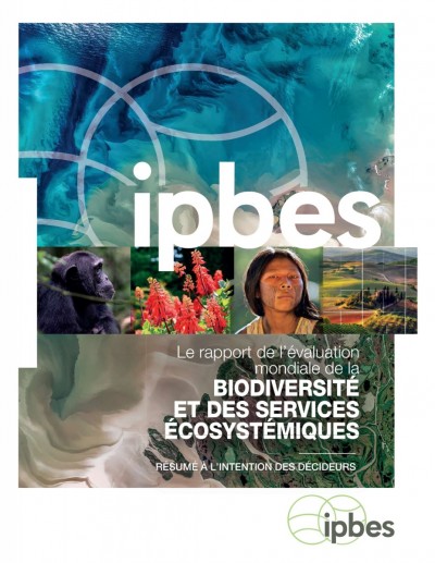 Image / illustration