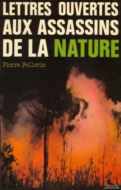 Image / illustration